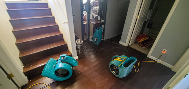 Best Carpet water damage restoration  in Yarmouth Port, MA