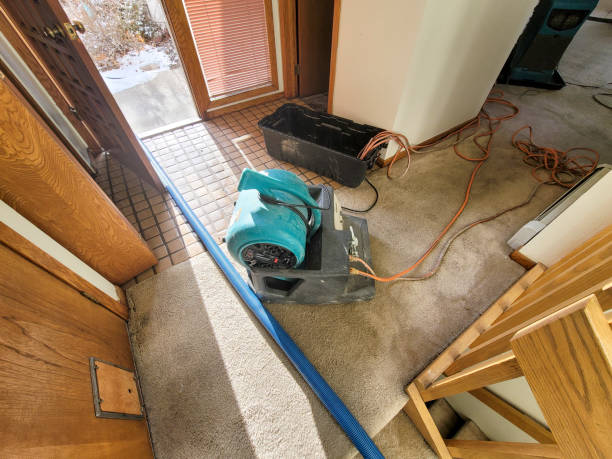 Best Carpet water damage restoration  in Yarmouth Port, MA