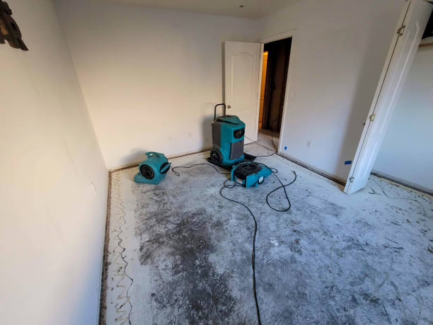 Best Basement water damage restoration  in Yarmouth Port, MA
