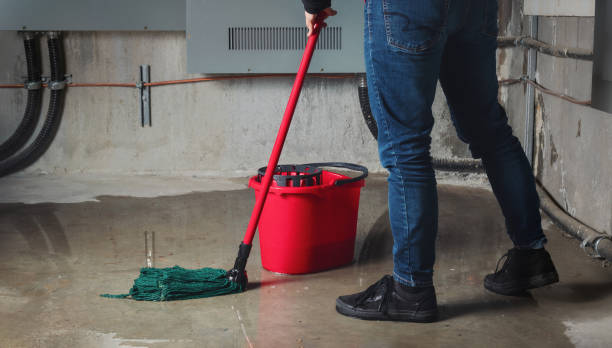 Best Flooded house restoration  in Yarmouth Port, MA