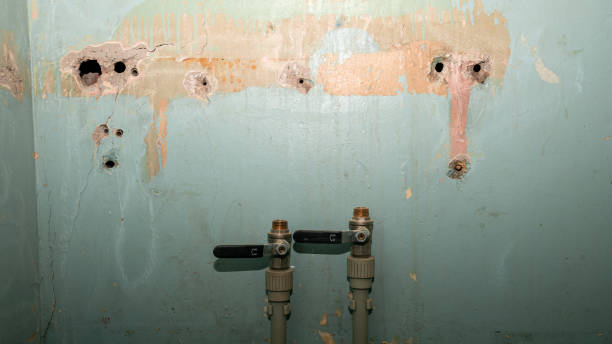 Best Water damage cleanup near me  in Yarmouth Port, MA